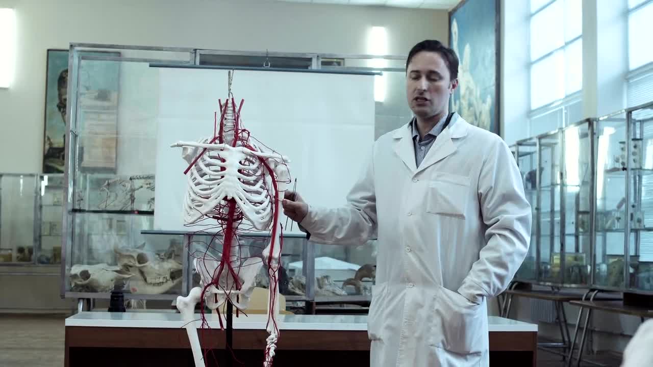 Download Stock Video Lecture On Human Anatomy Animated Wallpaper