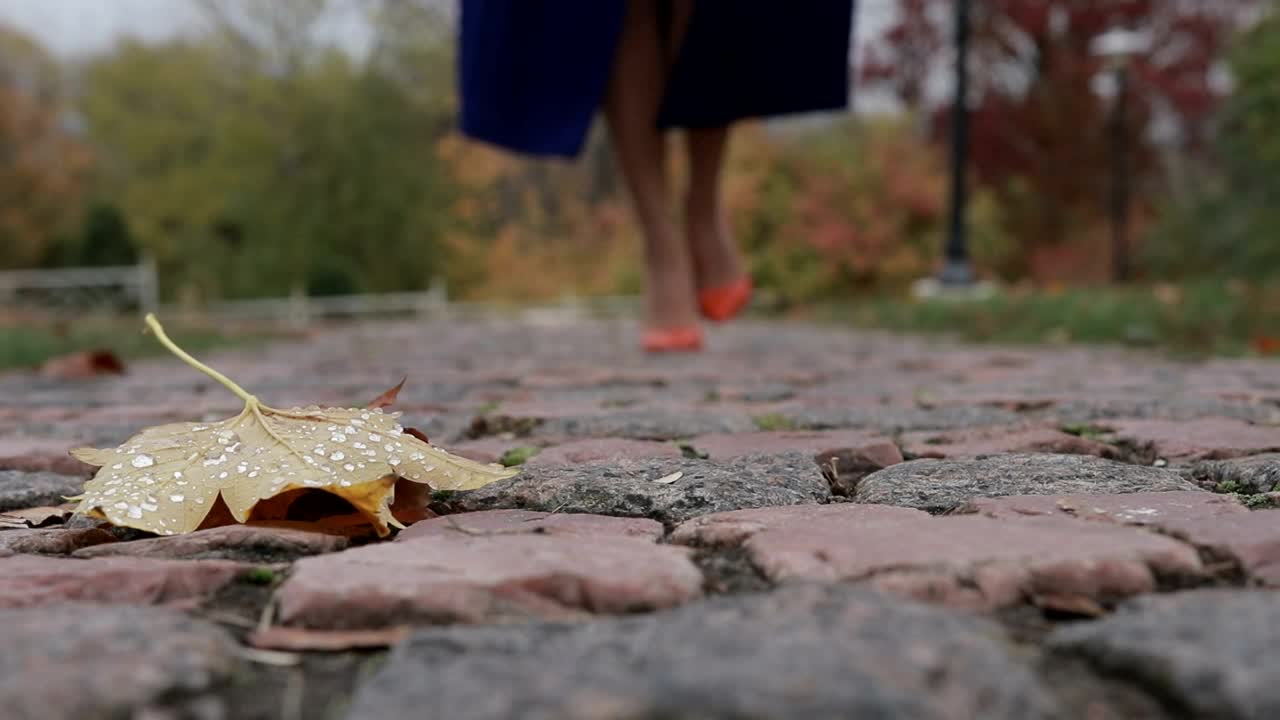 Download Stock Video Leaf On The Ground In A Park A Woman Walks Animated Wallpaper