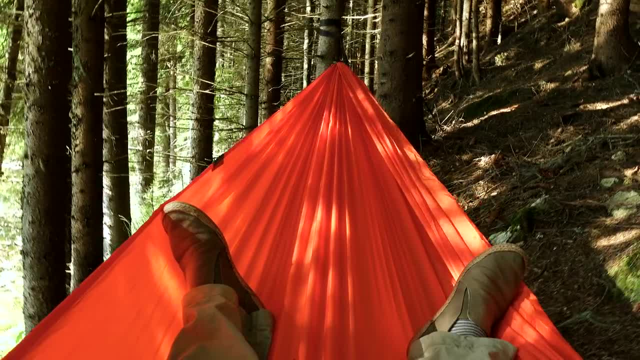 Download Stock Video Laying In A Hammock In The Forest Animated Wallpaper