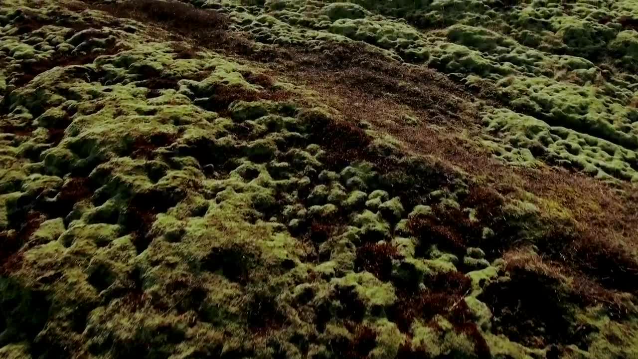 Download Stock Video Lava Field Covered With Grass Animated Wallpaper