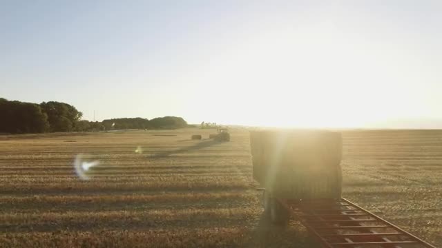 Download Stock Video Large Hay Bales In A Field Smal Animated Wallpaper