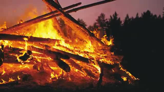 Download Stock Video Large Campfire In The Middle Of Nature Smal Animated Wallpaper