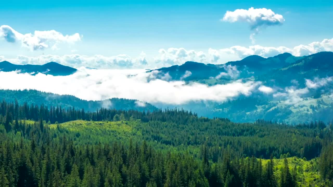 Download Stock Video Misty Morning In The Mountains Time Laps Animated Wallpaper