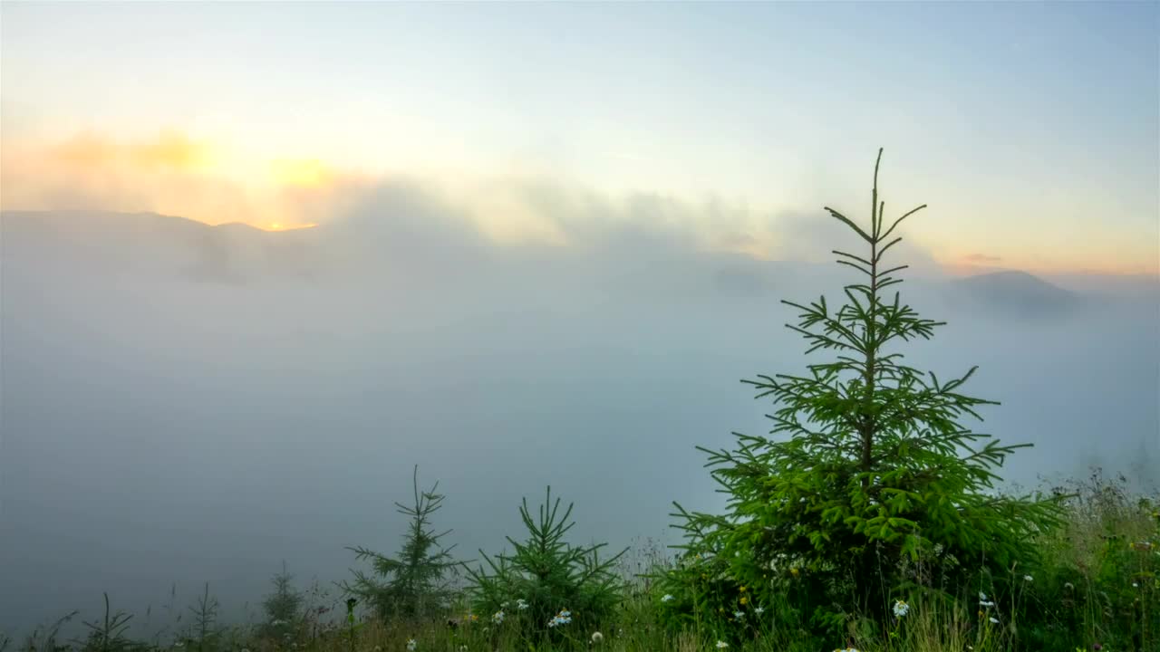 Download Stock Video Misty Morning In The Mountain Time Laps Animated Wallpaper