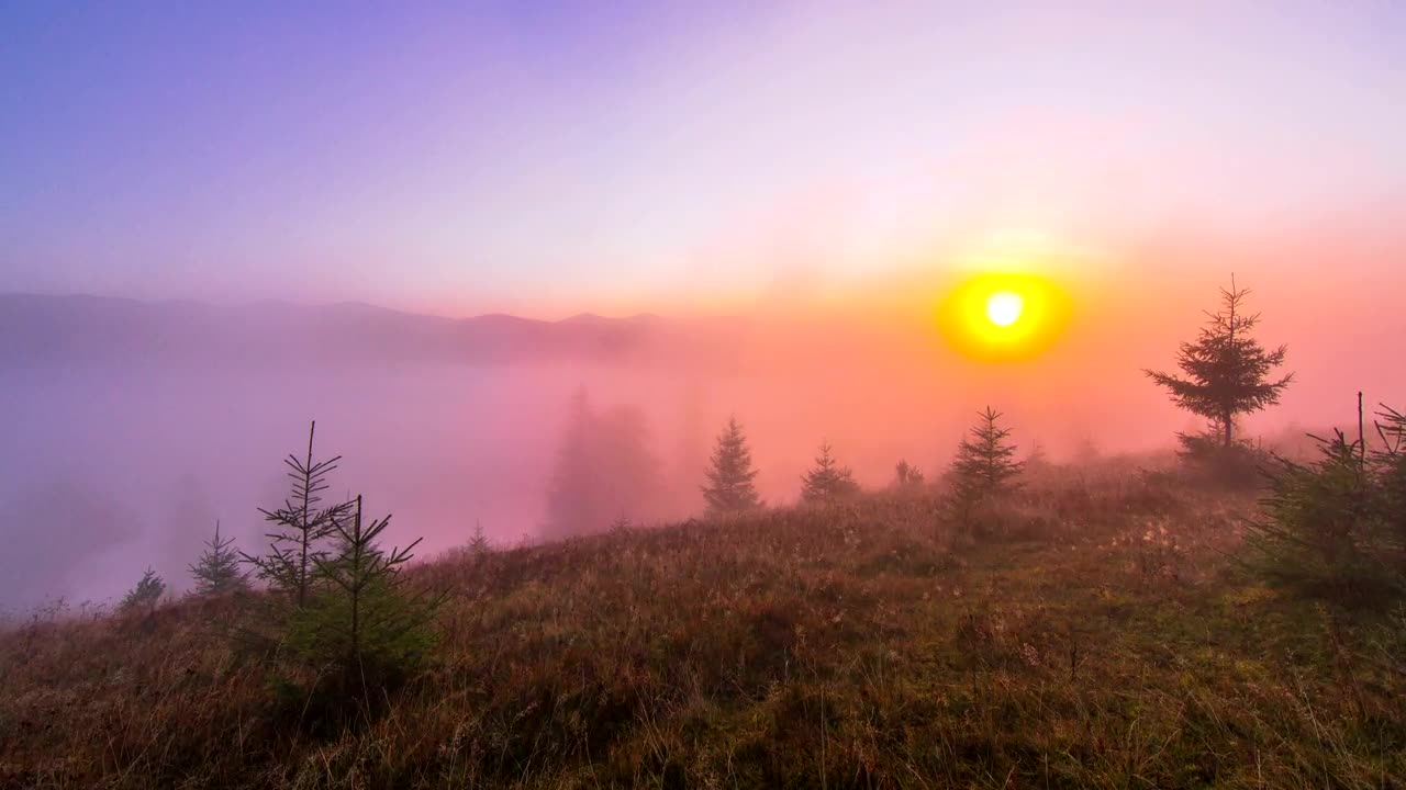 Download Stock Video Misty Morning In The Mountain Animated Wallpaper