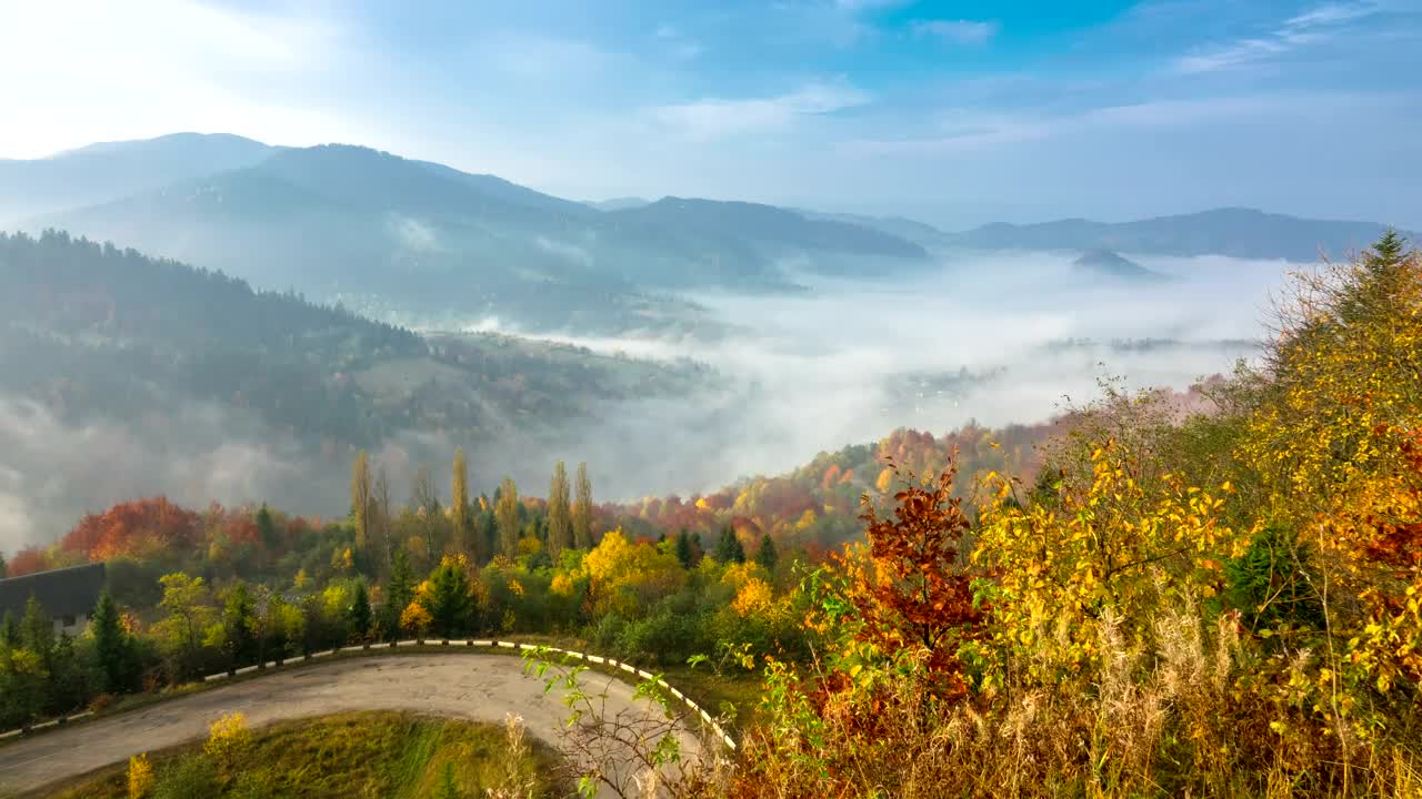 Download Stock Video Misty Morning In The Mountai Animated Wallpaper