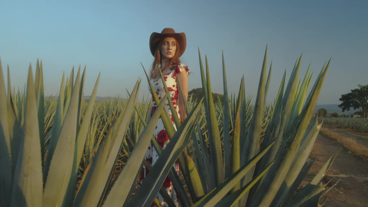 Download Stock Video Mexican Style Girl In A Maguey Fiel Animated Wallpaper