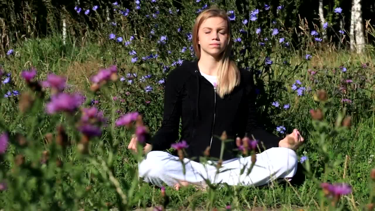 Download Stock Video Meditating Surrounded By Wildflower Animated Wallpaper