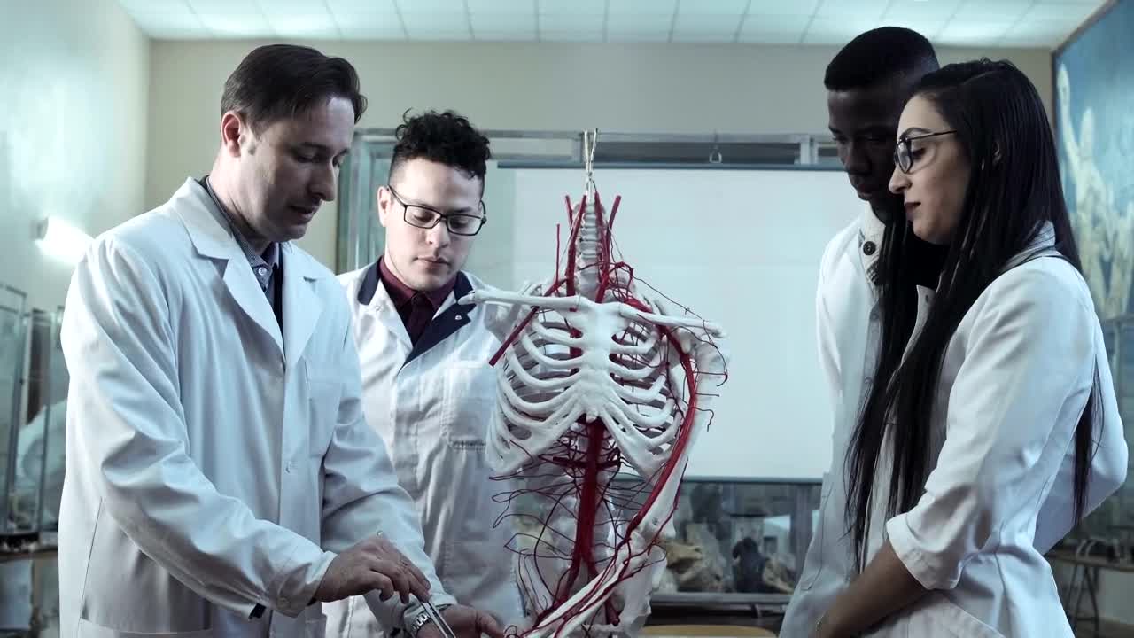 Download Stock Video Medical Students At Anatomy Lecture In An Universit Animated Wallpaper