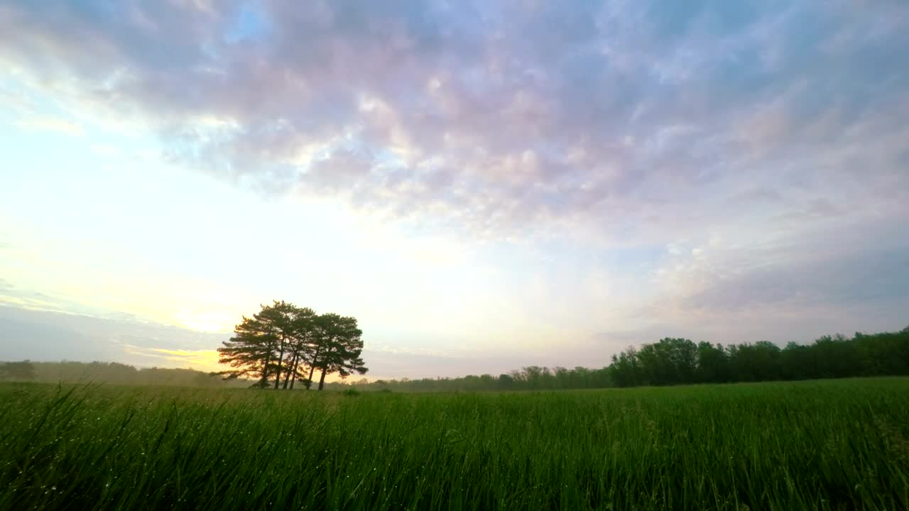 Download Stock Video Meadow Landscap Animated Wallpaper