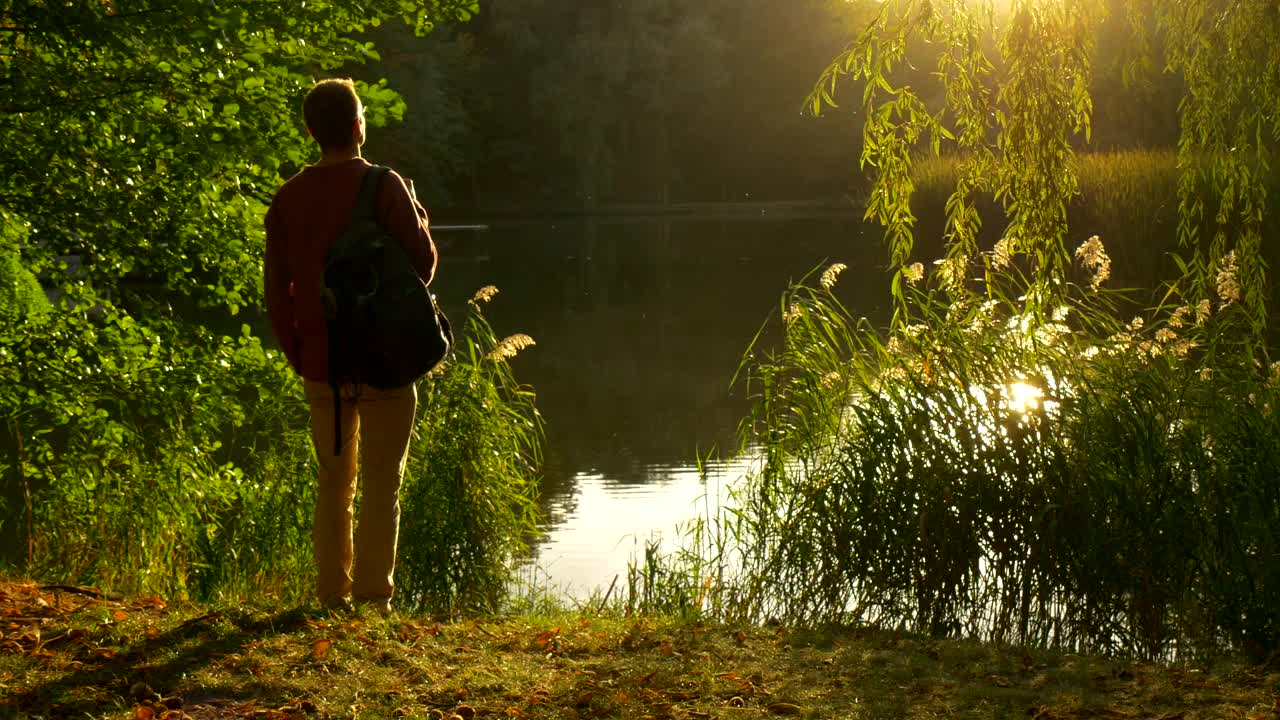 Download Stock Video Man Watching The Sunset On The Shore Of A Lak Animated Wallpaper