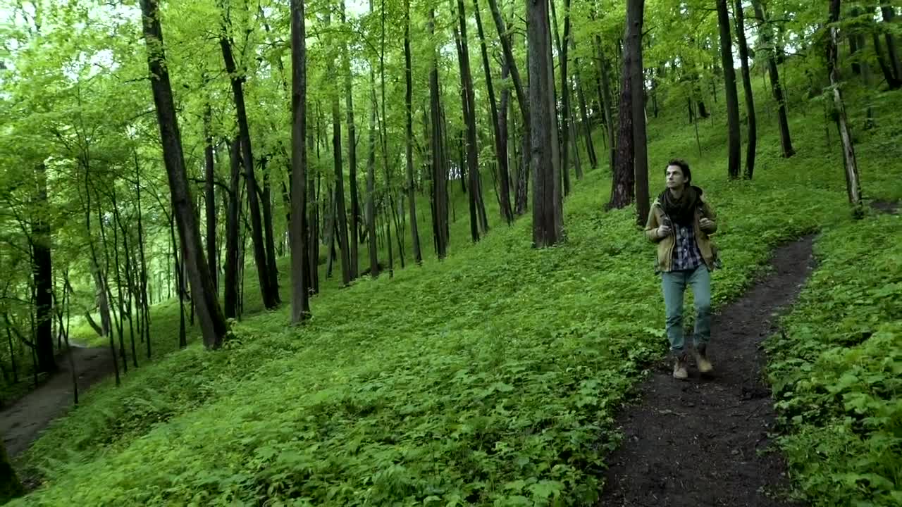 Download Stock Video Man Walking Through The Path In A Green Fores Animated Wallpaper