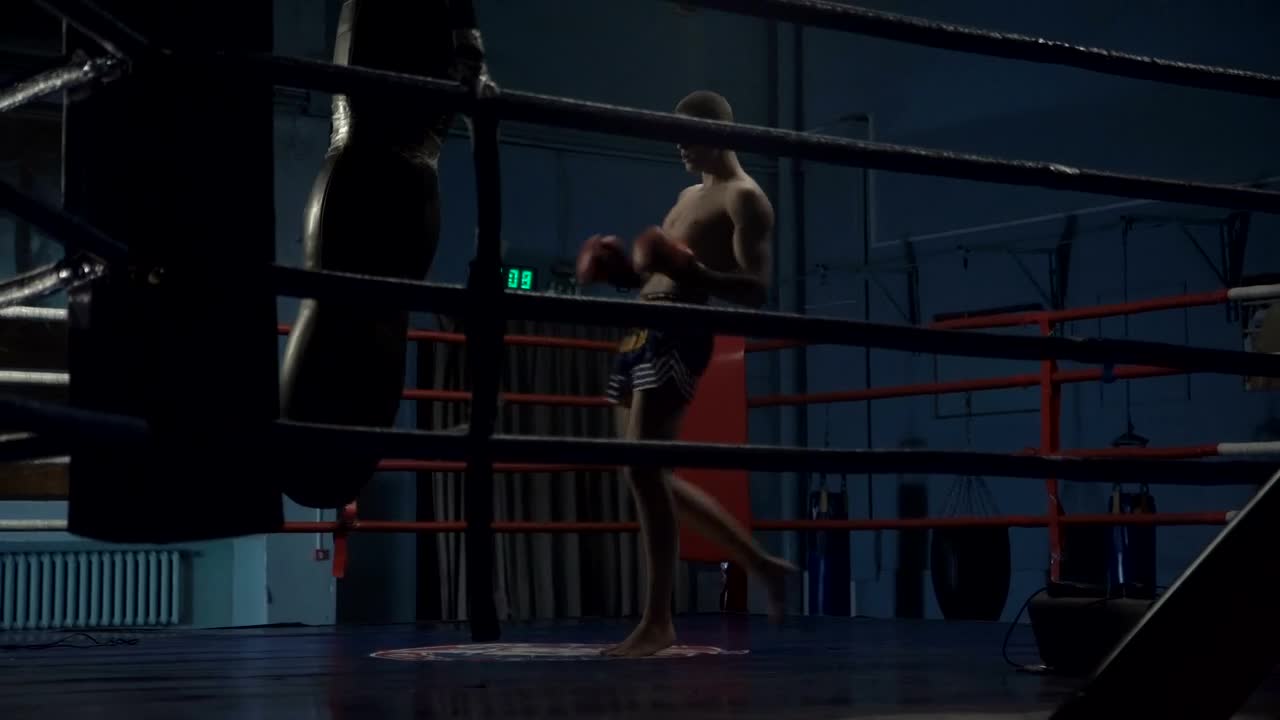 Download Stock Video Man Training With Punching Bag In The Rin Animated Wallpaper