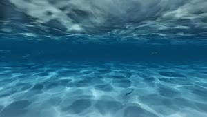 Download Stock Video Man Swimming Under The Gentle Waves Of The Se Animated Wallpaper