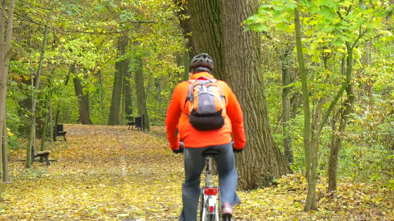 Download Stock Video Man Pedaling Through The Park In Autum Animated Wallpaper