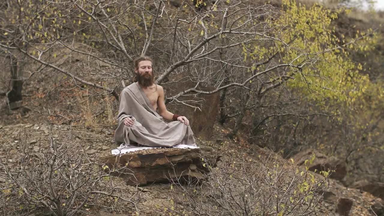 Download Stock Video Man Meditating Deeply In An Autumnal Fores Animated Wallpaper