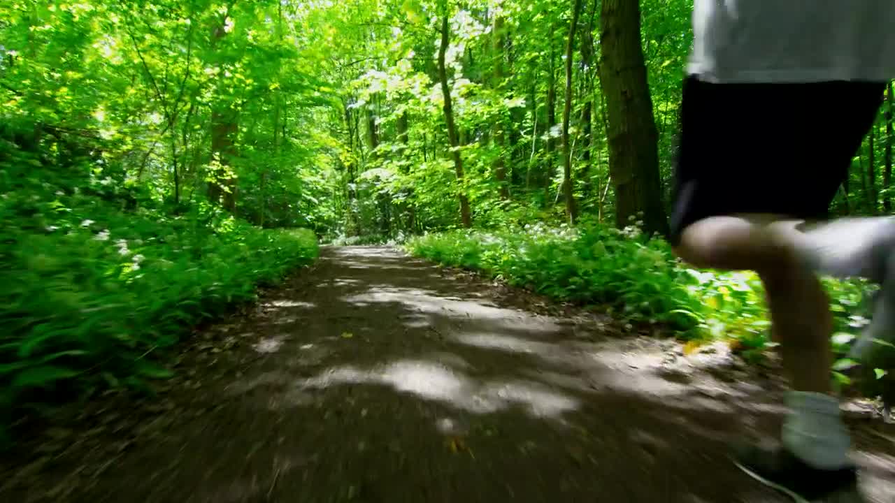 Download Stock Video Man Jogging Through Woodland Tracking Sho Animated Wallpaper