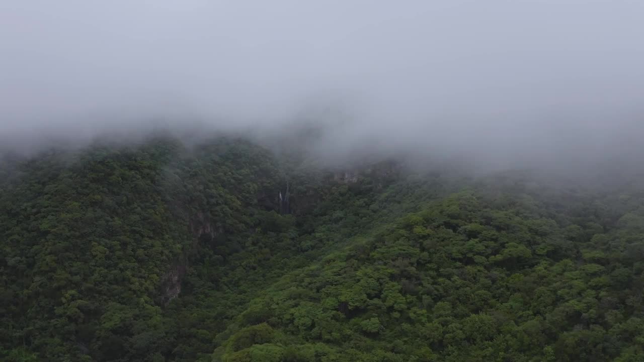 Download Stock Video Mountain Forest With Mist Live Wallpaper