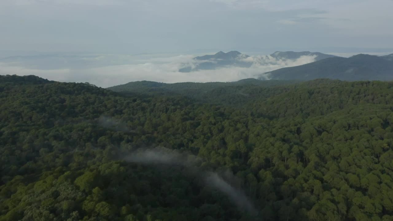 Download Stock Video Mountain Range Covered By Trees Seen From Above Live Wallpaper