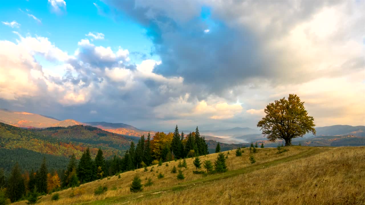 Download Stock Video Mountains And Forest On A Cloudy Day Live Wallpaper