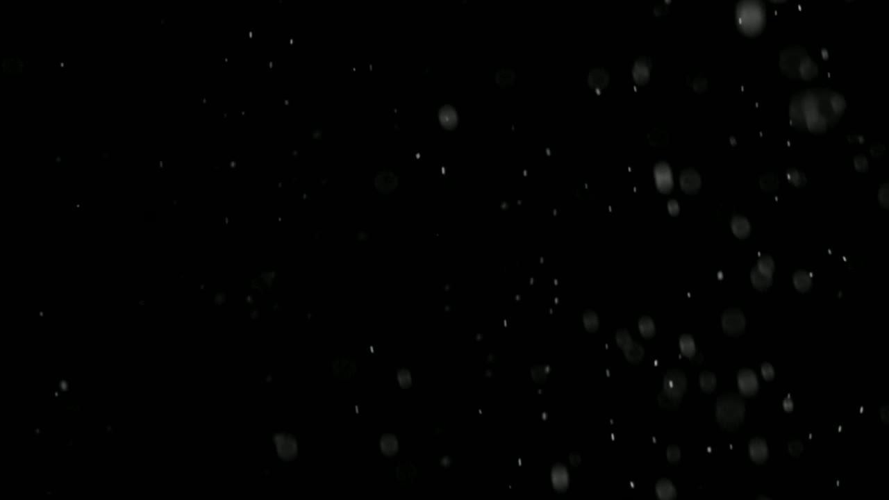 Download Stock Video Natural Snow Falling Live Wallpaper