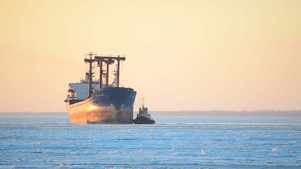 Download Stock Video Ocean Liner Cargo Ship Live Wallpaper