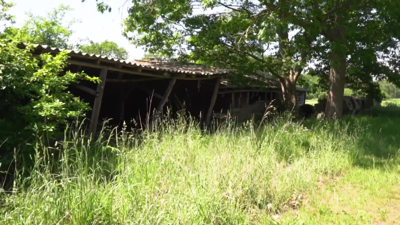 Download Stock Video Old Abandoned Cabin Destroyed By Time Live Wallpaper