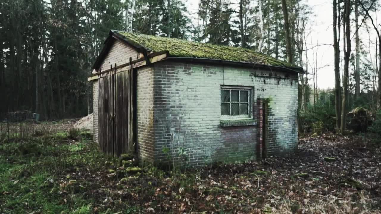 Download Stock Video Old Brick Shed In A Forest Live Wallpaper