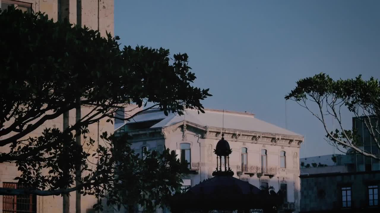 Download Stock Video Old Building With Trees At Dusk Live Wallpaper