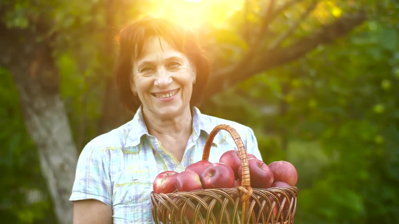 Download Stock Video Old Rancher Woman Holding A Basket With Apples Live Wallpaper