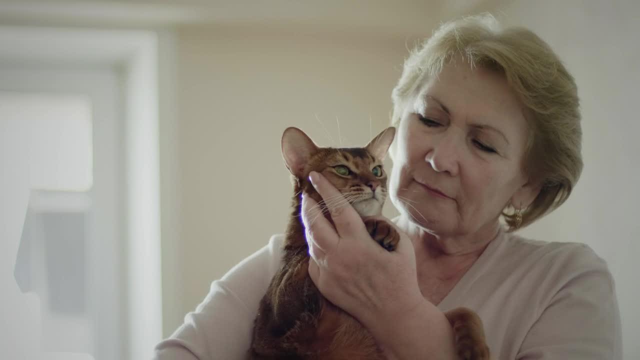 Download Stock Video Old Woman Hugging Her Cat Live Wallpaper