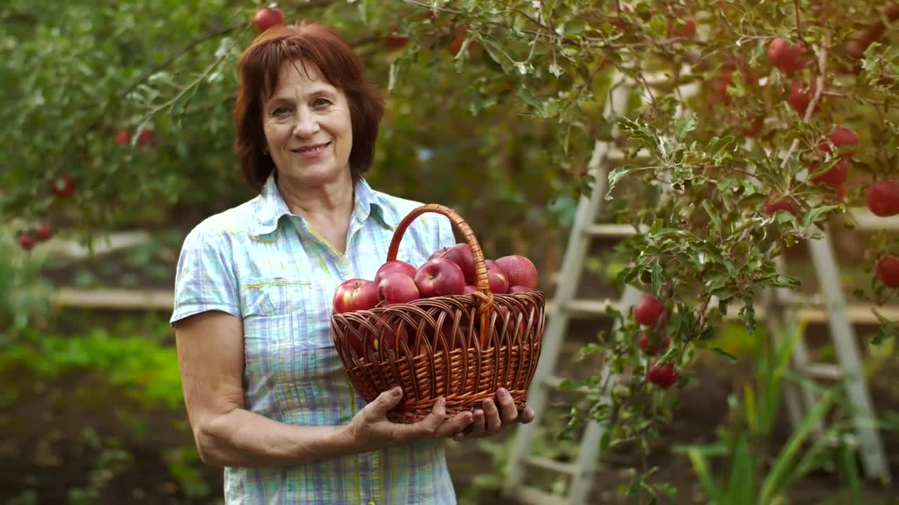 Download Stock Video Old Woman With A Basket Of Apples Live Wallpaper