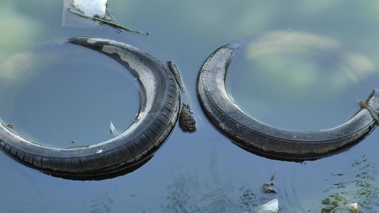 Download Stock Video Pair Of Old Tires Submerged In The Water Of A Live Wallpaper