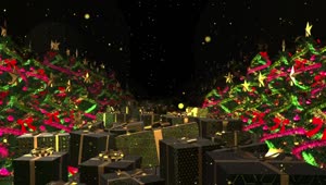 Download Stock Video Path Of Christmas Trees Covered By Wrapped Gifts Live Wallpaper