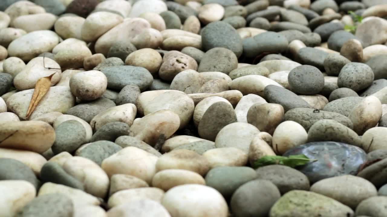 Download Stock Video Path Of Pebbles Live Wallpaper