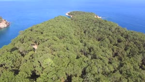 Download Stock Video Peninsula Covered With A Forest And The Ocean Live Wallpaper