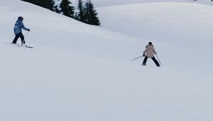 Download Stock Video People Skiing On The Snow Live Wallpaper