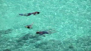 Download Stock Video People Snorkeling On Crystal Clear Waters Live Wallpaper