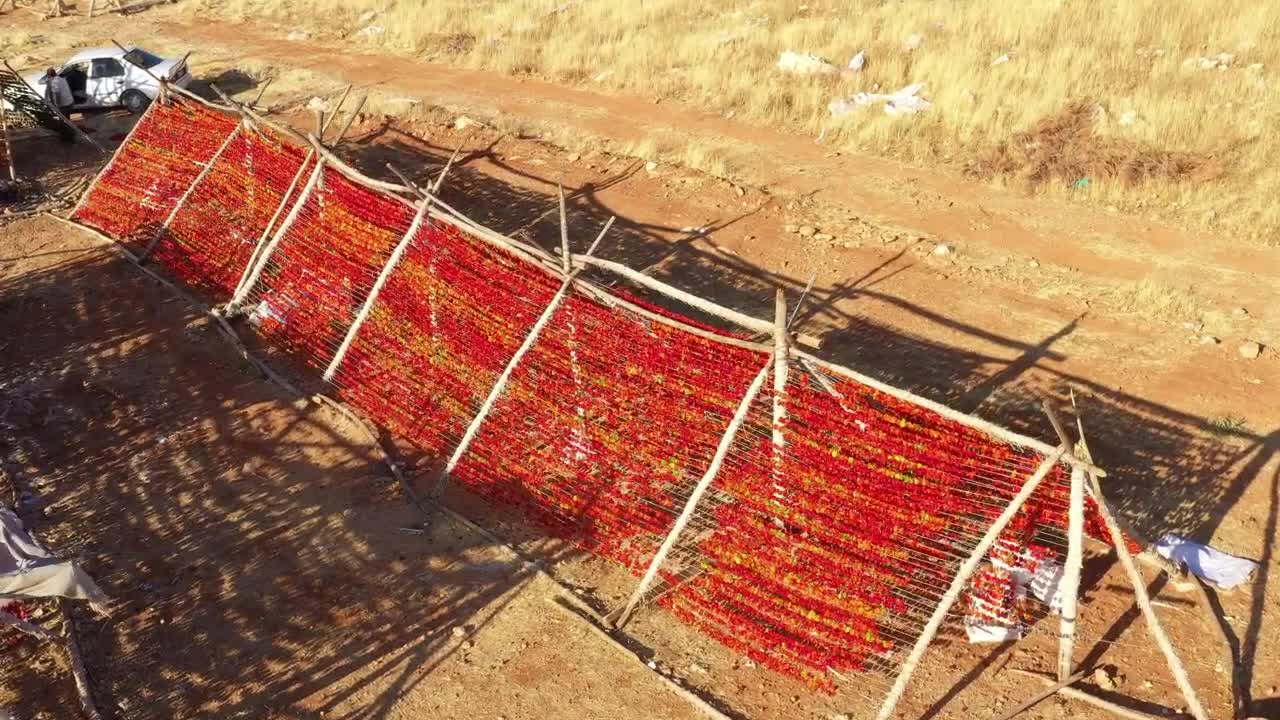 Download Stock Video Peppers Being Dried After Harvest Live Wallpaper