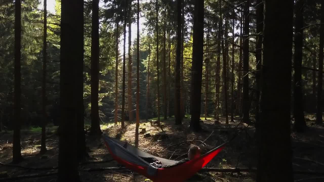 Download Stock Video Person In A Hammock In The Middle Of A Forest Live Wallpaper