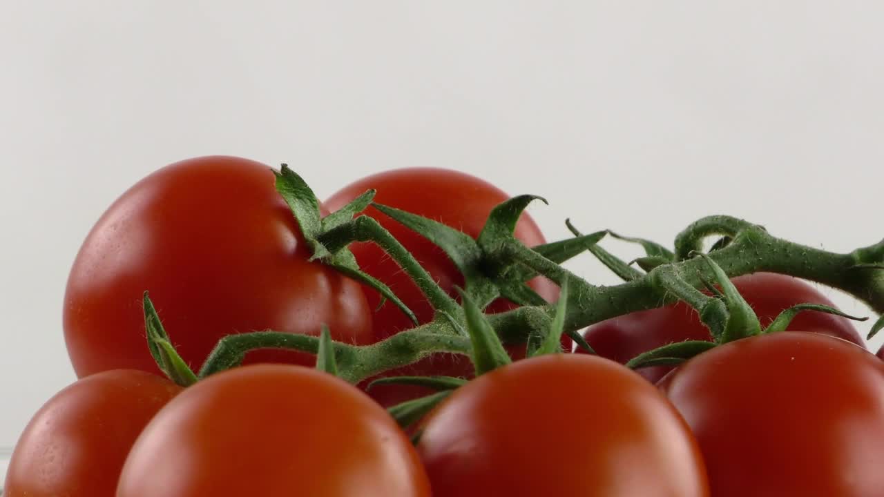 Download Video Stock Red Tomatoes On White Background Live Wallpaper Free