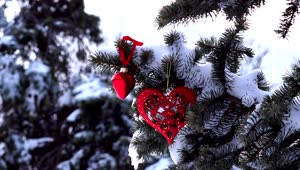 Download Video Stock Pine Branch Covered In Snow With Decoration Live Wallpaper Free