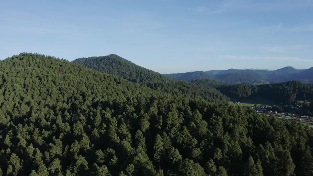 Download Video Stock Pine Forest On A Mountain Range Tour Aerial Shot Live Wallpaper Free