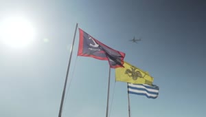 Download Video Stock Plane Flying Past Three Flags Live Wallpaper Free