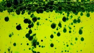 Download Video Stock Pond With Green Oil Bubbles Live Wallpaper Free