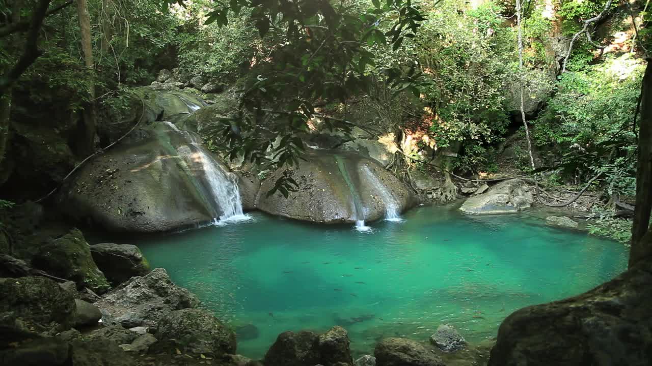 Download Video Stock Pool With Waterfalls In The Jungle Live Wallpaper Free