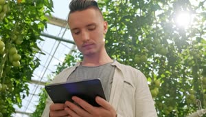 Download Video Stock Portrait Of A Man Using A Tablet At A Greenhouse Live Wallpaper Free