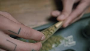 Download Video Stock Preparing A Marijuana Cigarette Live Wallpaper Free