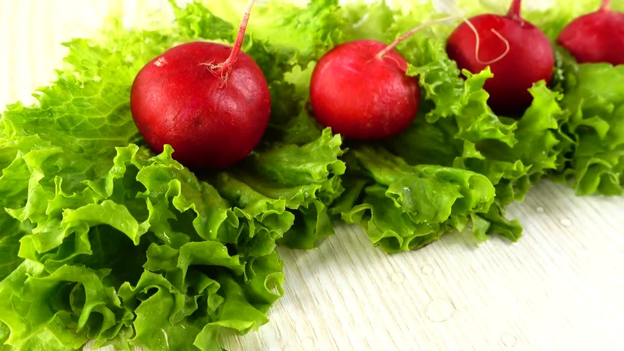 Download Video Stock Radishes Picked From A Garden Live Wallpaper Free