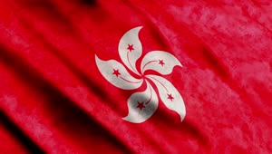 Download Video Stock Red Hong Kong Flag Live Wallpaper Free
